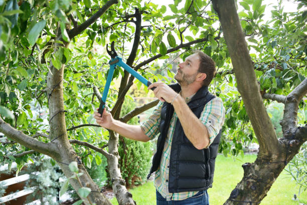 Best Tree Risk Assessment  in Lake Delta, NY